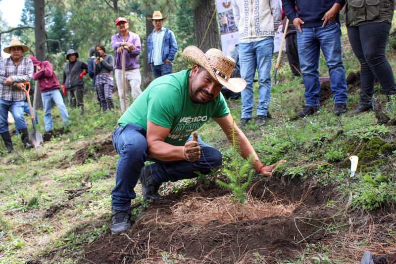 Jornada de Restauración Hidrológica Forestal 2026