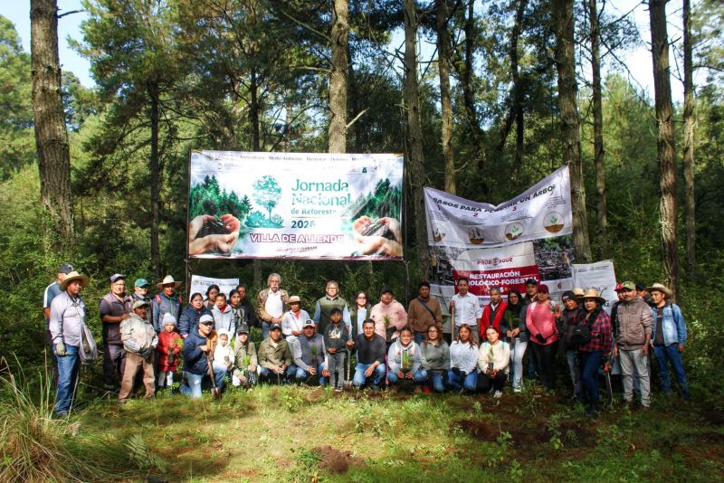 Jornada Nacional de Reforestación 2026